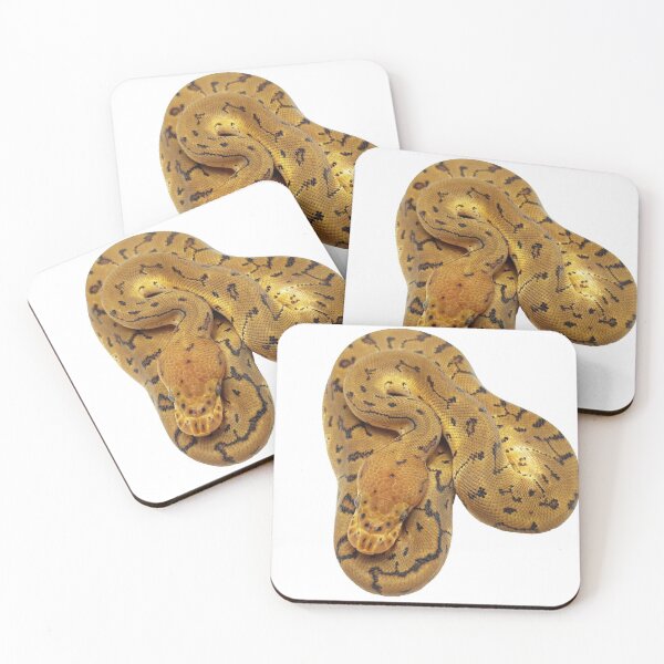 Artikelvorschau, Nadelstreifen Clown Ball Python entworfen und verkauft von BDesignerMorphs.