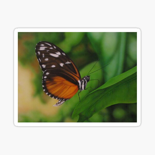 Orange and Orange Butterfly airbrushed art Sticker