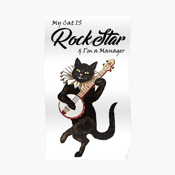 my cat is a rockstar t shirt