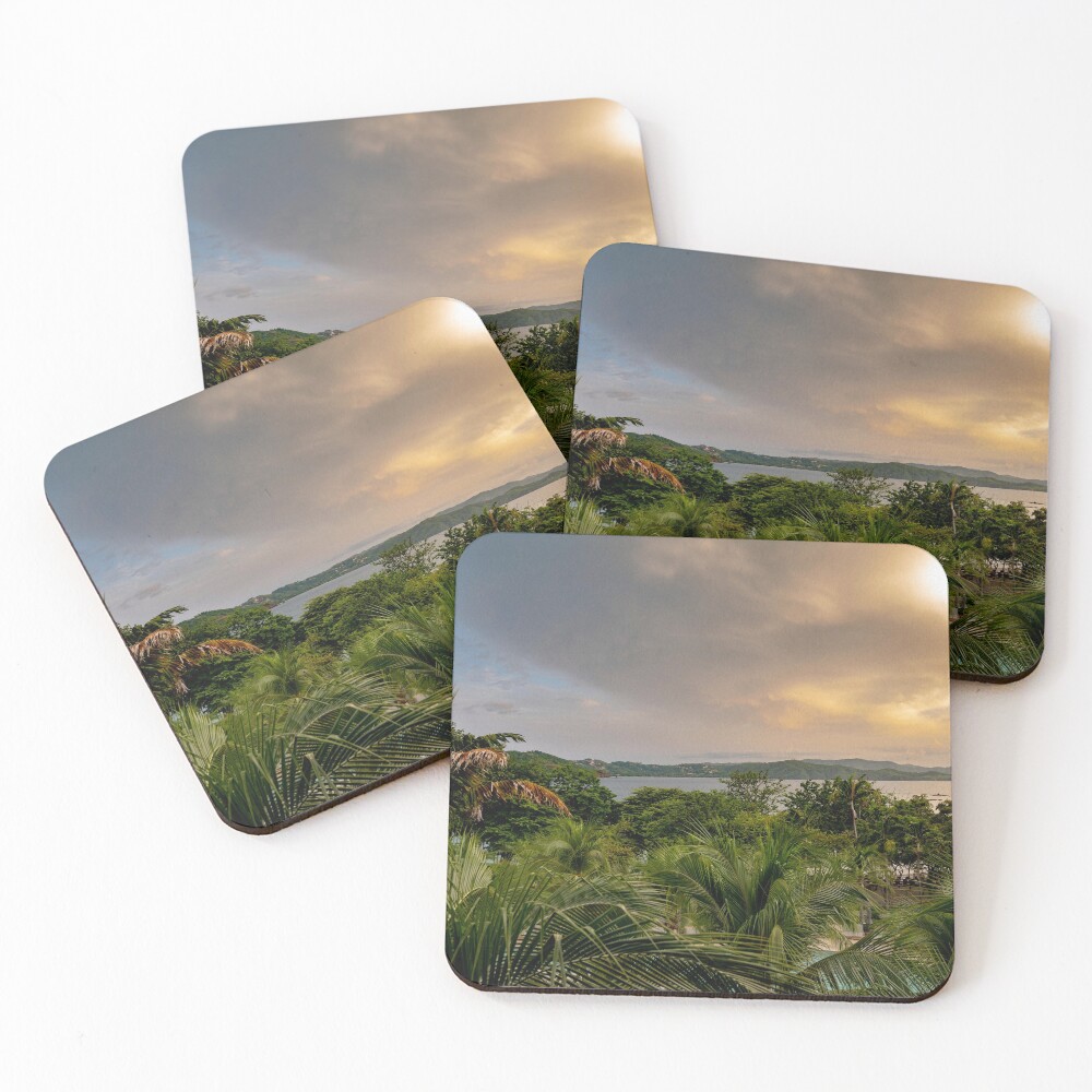 Item preview, Coasters (Set of 4) designed and sold by BlueHatter.