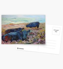 Heather Bed Postcards