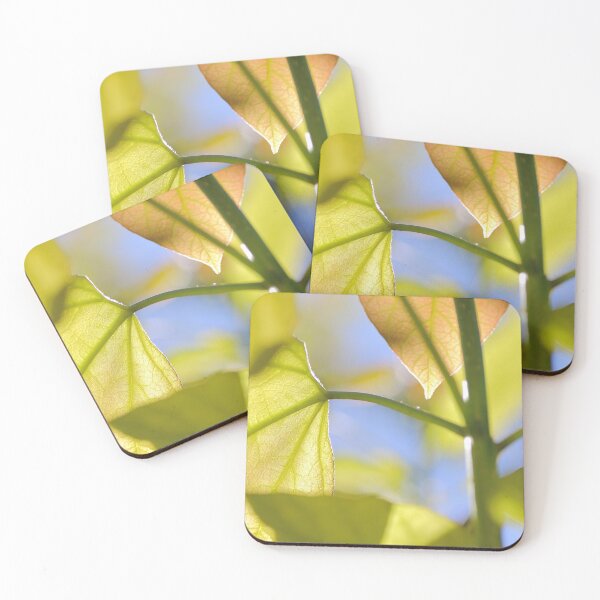 Item preview, Catalpa leaf designed and sold by Grégory DUBUS.
