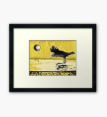 in flight Framed Print