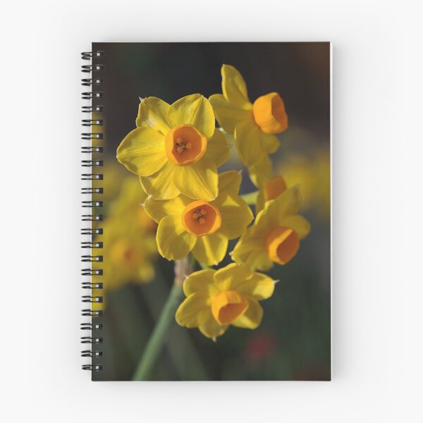 Item preview, Jonquils Cluster designed and sold by Joy Watson - Natural Light Photography .