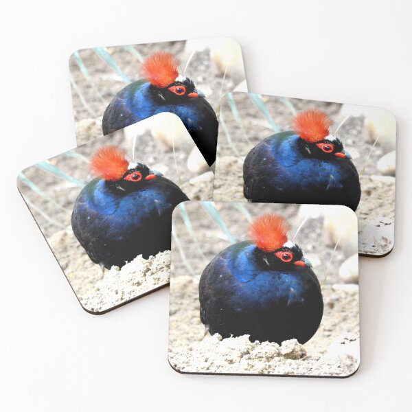 Item preview, Roul Roul Partridge designed and sold by Barnbk02.