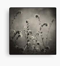 Coterie Canvas Print