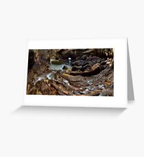 Whiritoa Blow Hole Cave Greeting Card