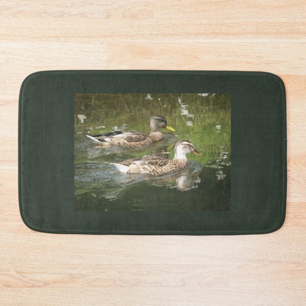 Item preview, Pair of Pretty Juvenile Mallard Ducks Photograph designed and sold by naturegallery.