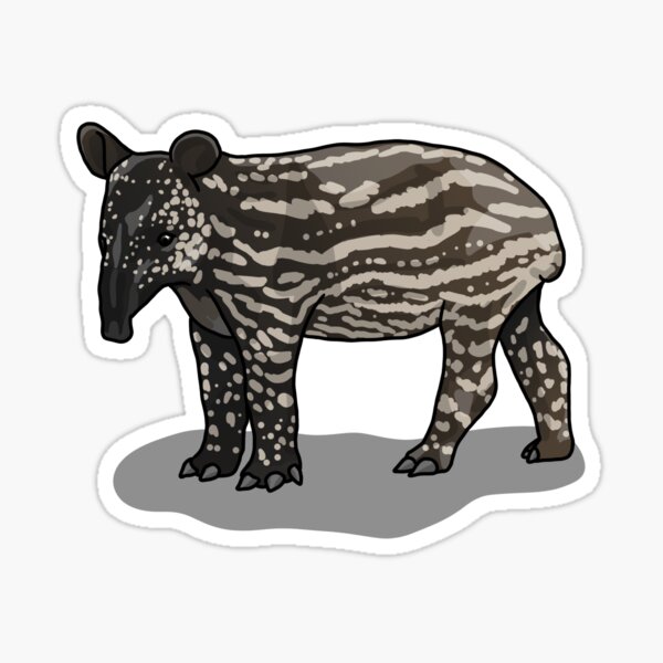 Vista previa del artículo con la obra «Tapir malayo (Tapirus indicus).», diseñado y vendido por Pongidae.