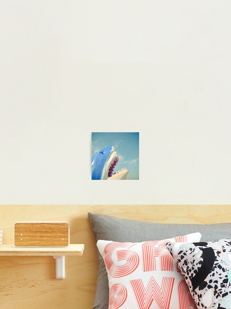 Thumbnail 2 of 3, Photographic Print, Shark designed and sold by Cassia.
