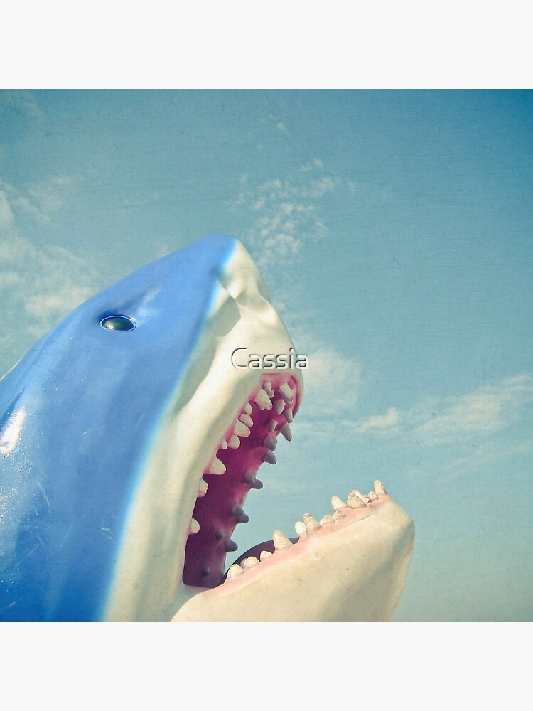 Thumbnail 3 of 3, Photographic Print, Shark designed and sold by Cassia.