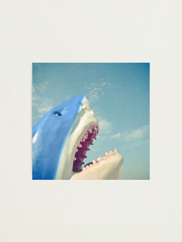 Thumbnail 1 of 3, Photographic Print, Shark designed and sold by Cassia.