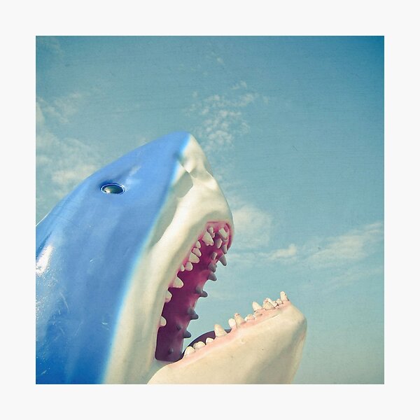 Photographic Print