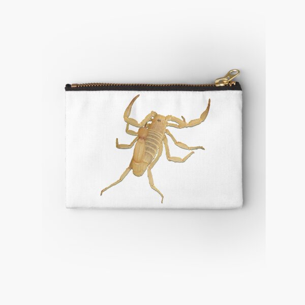 Aperçu de l'œuvre Scorpion arachnide visage mignon amoureux des animaux effrayant amusant créée et vendue par SumoShark.
