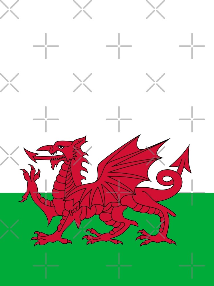 Flag of Wales - Welsh Flag by Bruiserstang