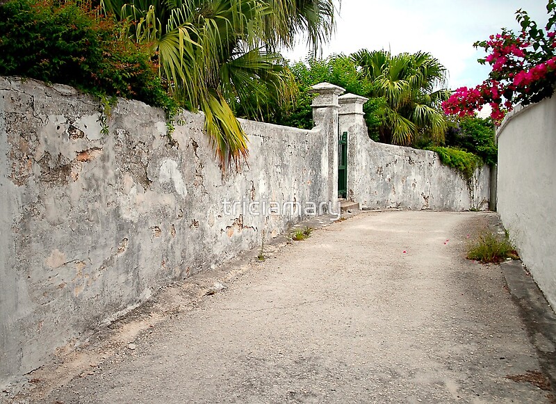 "Old Bermuda Lane" by triciamary Redbubble