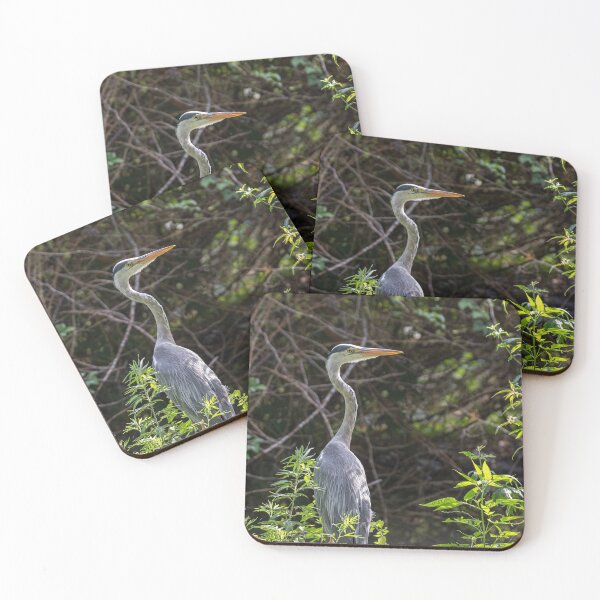 Item preview, Gray heron on the edge of a pond designed and sold by brambillasimone.