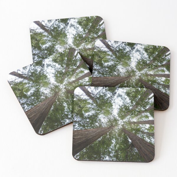 Item preview, Giant redwoods designed and sold by JojomioINC.