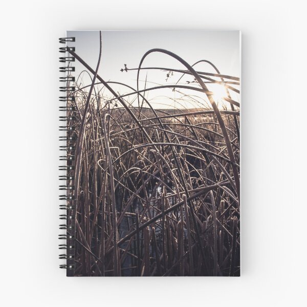Item preview, Marsh designed and sold by 4otoFinish.