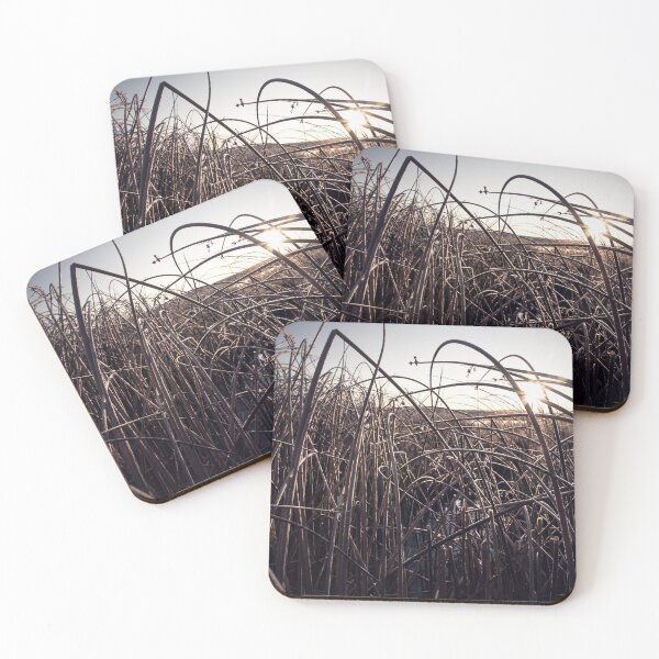 Item preview, Marsh designed and sold by 4otoFinish.
