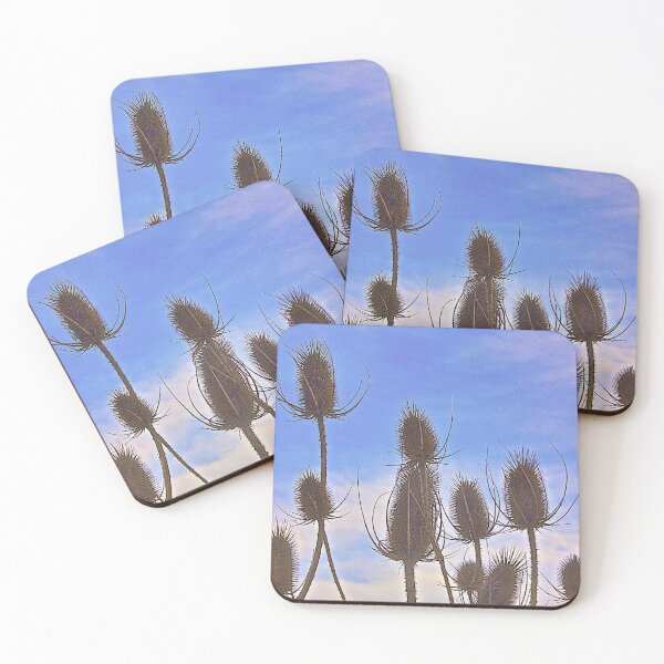 Item preview, Teasel designed and sold by jjohnsueb.