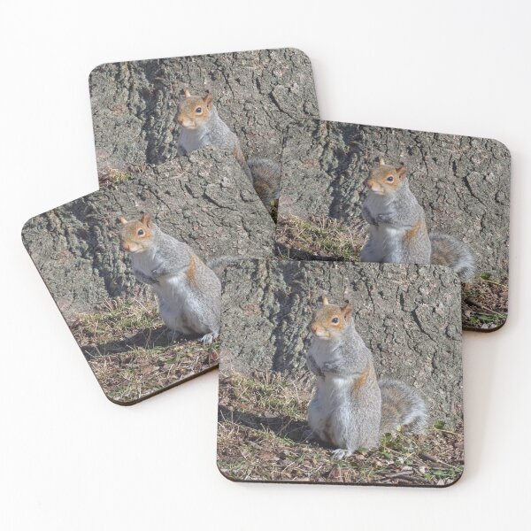 Item preview, Mister Squirrel, How do I love thee? Let me count the ways. designed and sold by Lanis Rossi.