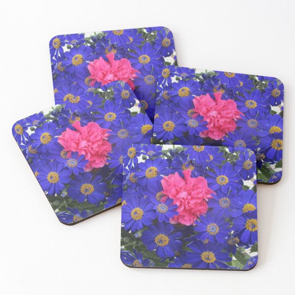 Item preview, ALLEGRATA 1 carnation cinerary daisies blue pink flower bouquet floral composition nature plant photo designed and sold by dragonemma.
