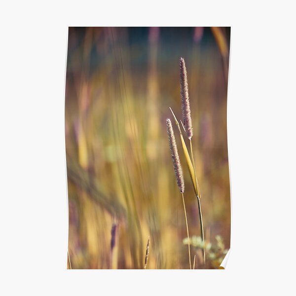 Day Whisperings Poster