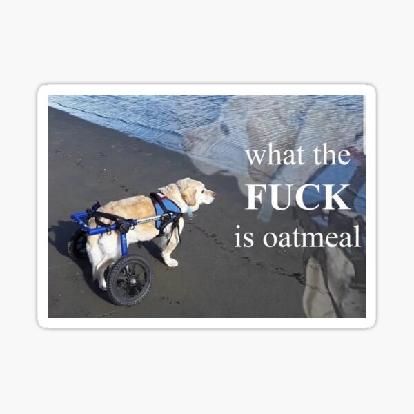 What is oatmeal dog Sticker