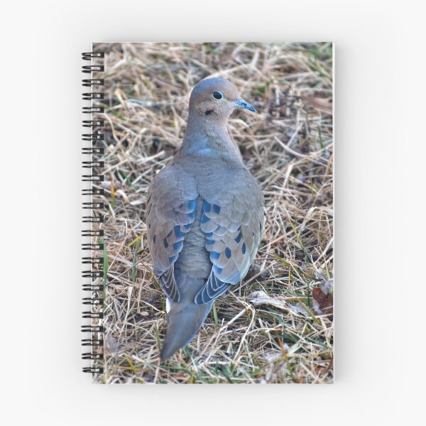 Item preview, The Mourning Dove says "cooooOOOOO-woo-woo-woo" designed and sold by Lanis Rossi.