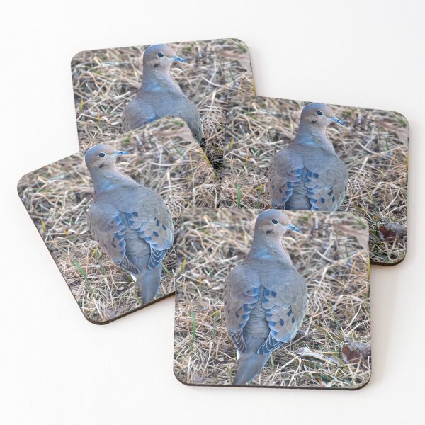 Item preview, The Mourning Dove says "cooooOOOOO-woo-woo-woo" designed and sold by Lanis Rossi.