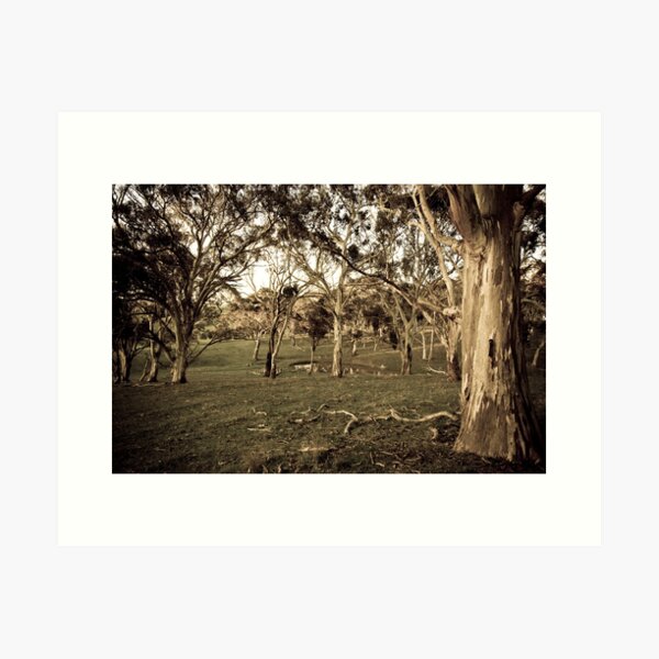 Item preview, Trees - Fleurieu Peninsula, South Australia designed and sold by Stephen Permezel.