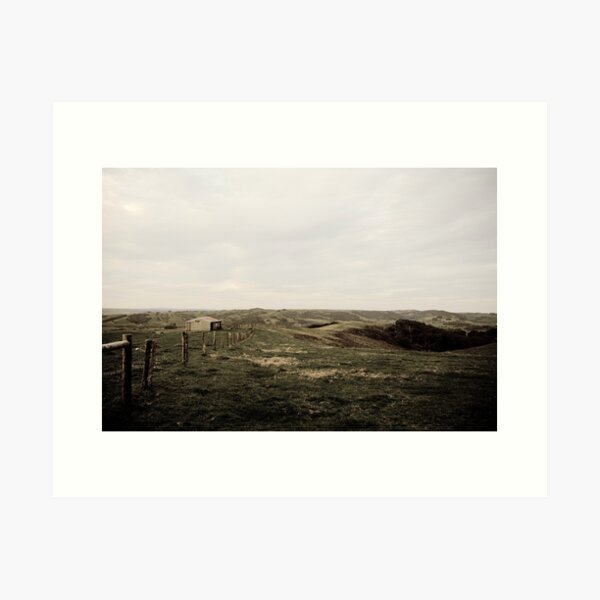 Item preview, Sheep Shed - Fleurieu Peninsula, South Australia designed and sold by Stephen Permezel.