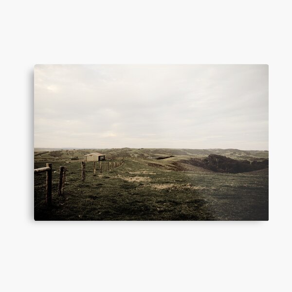 Sheep Shed - Fleurieu Peninsula, South Australia Metal Print
