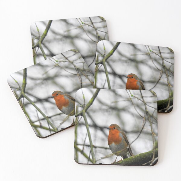 Item preview, Little Robin designed and sold by RoseBumblebee.