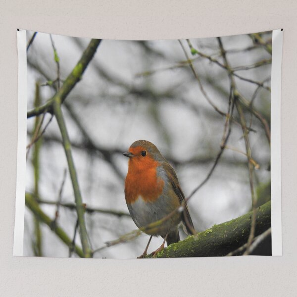 Item preview, Little Robin designed and sold by RoseBumblebee.