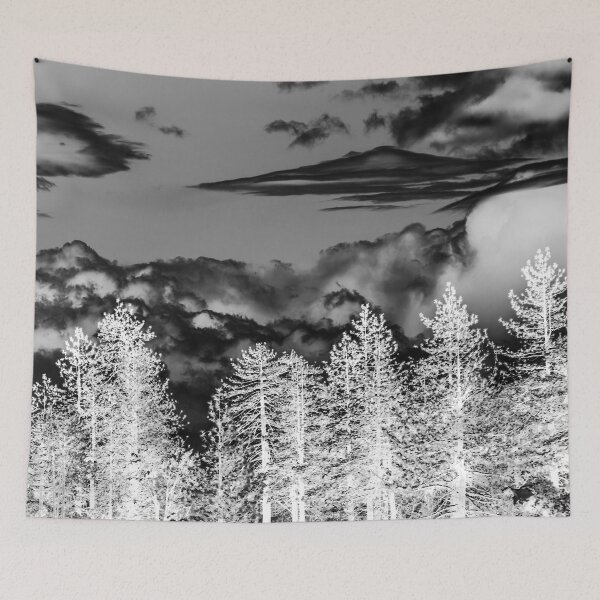Item preview, DECEMBER SKY designed and sold by BRETTJOZSA.