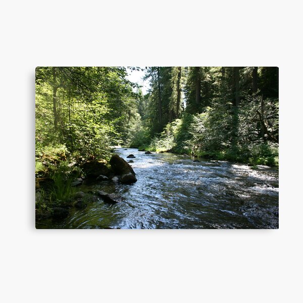 Fish Creek Canvas Print