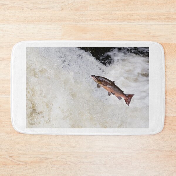 Item preview, large male atlantic salmon fish designed and sold by chanonry.
