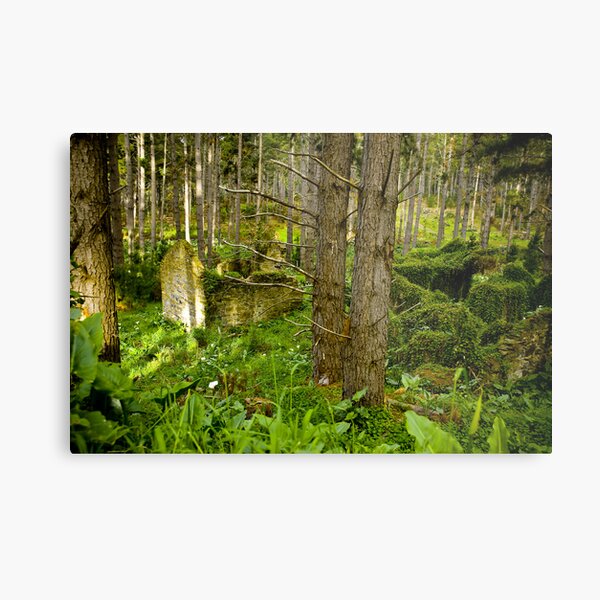 Item preview, Forest Ruin - Fleurieu Peninsula, South Australia designed and sold by Stephen Permezel.