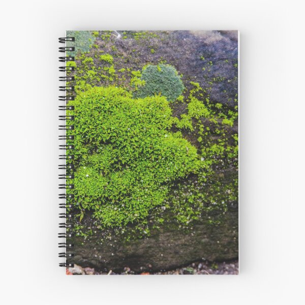 Item preview, Winter Greens designed and sold by SRosuphotos.