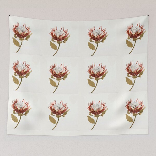 Item preview, Protea - Still Life - Botanical Art designed and sold by Krusty.