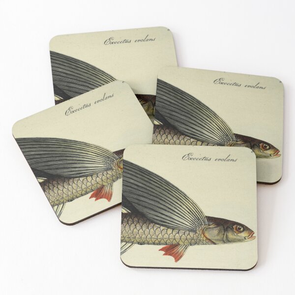 Item preview, Flying Fish designed and sold by BlueSpecsStudio.