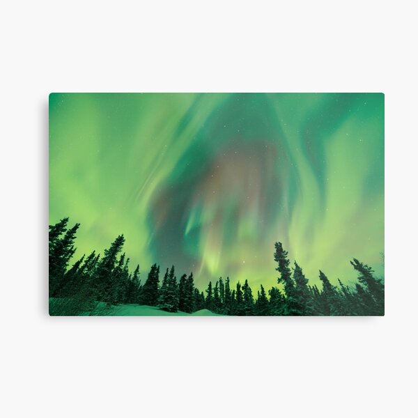 Metal Print