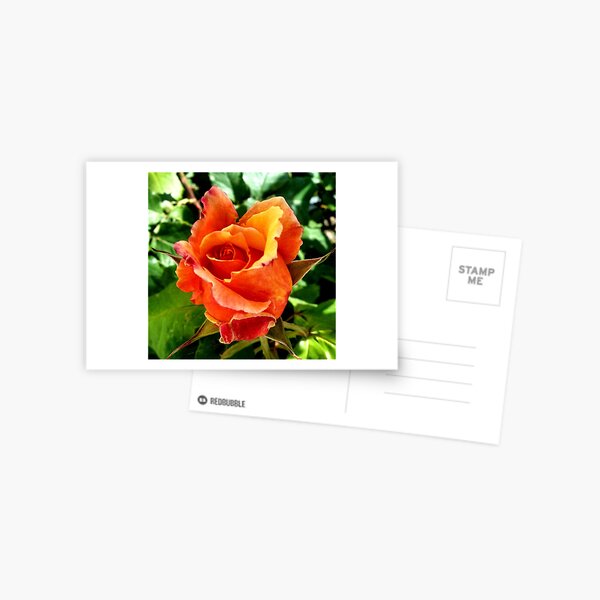 Item preview, Flaming August: Mississippi Blooming designed and sold by 21feathers.