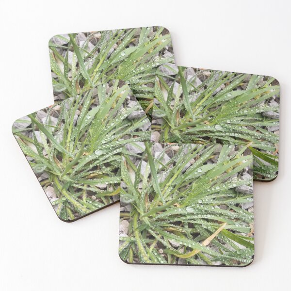 Artikelvorschau, Fresh Grass entworfen und verkauft von 21feathers.