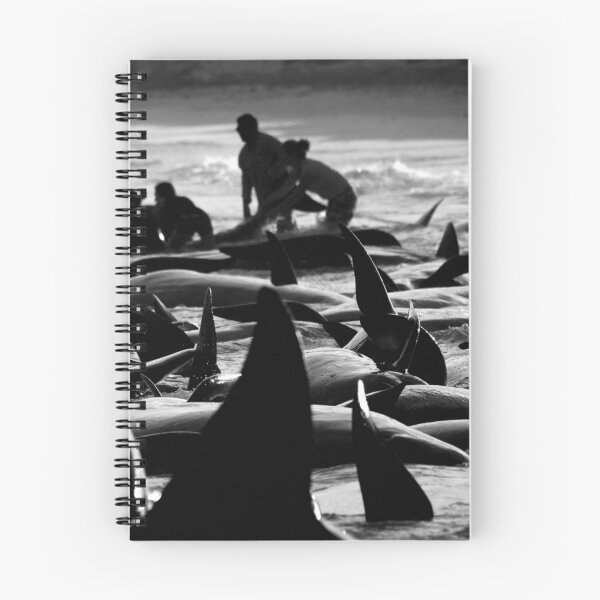 Item preview, Hamelin bay Pilot Whale stranding designed and sold by Marc Russo.