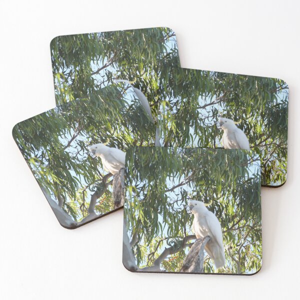 Item preview, ARE YOU WATCHING ME'! Sulpher Crested Cockatoo, Australian Native.  designed and sold by RitaBlom.