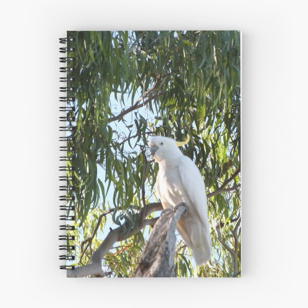 Item preview, ARE YOU WATCHING ME'! Sulpher Crested Cockatoo, Australian Native.  designed and sold by RitaBlom.