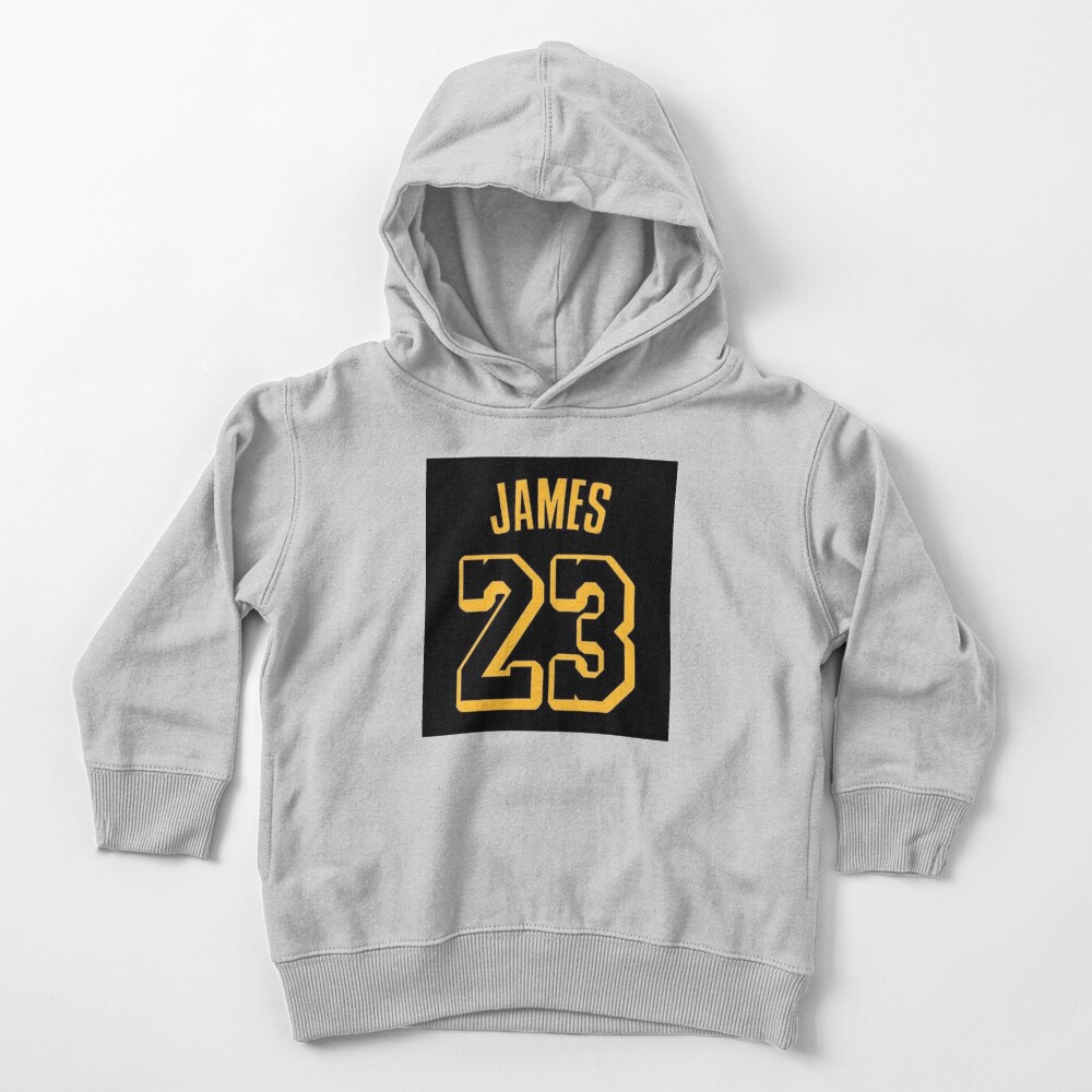 lebron james jersey hoodie